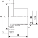 Flensa NF DN65 H3 1.4307