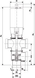 i-SSV DN65 22 316L Lebih Besar